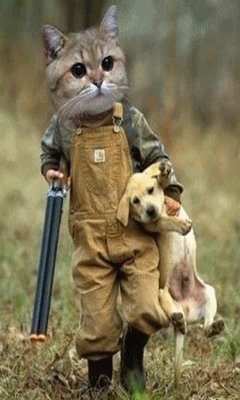 gatocazado Ktj8dkJY