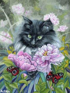 file_54928311