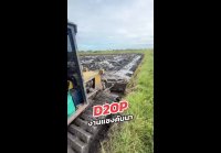 video_106745914