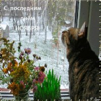 file_75626144