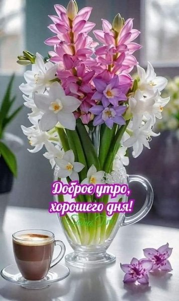 IMG-20250415-WA0009