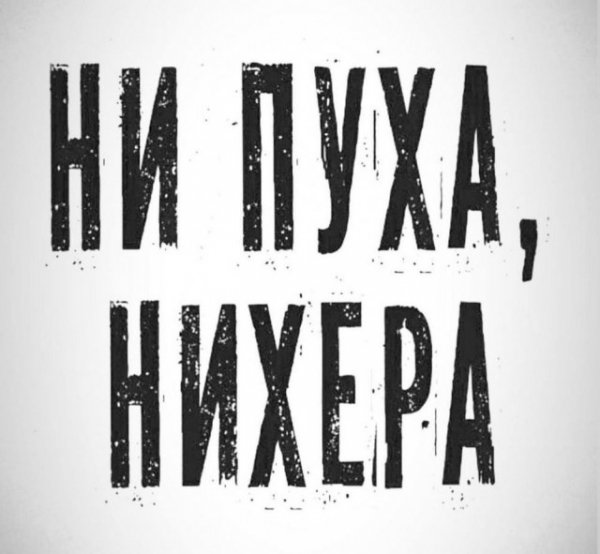 file_98661505
