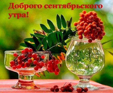 IMG-20250904-WA0011
