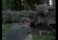 Холодное лето 53
