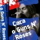 Дэвис. Watch You Bleed. Сага о Guns N' Roses