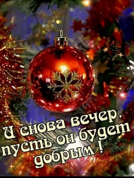 IMG 20240105 001515