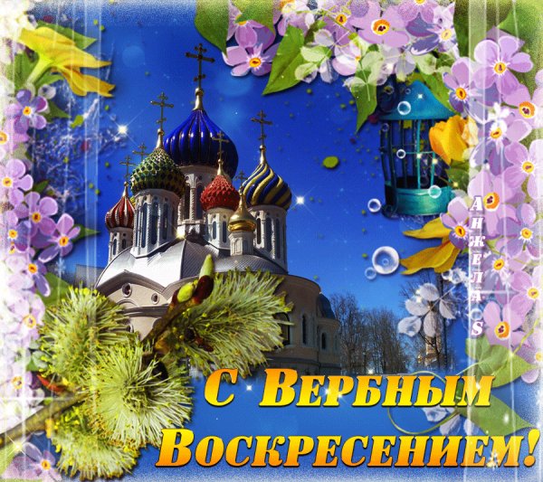 IMG 20260405 095517