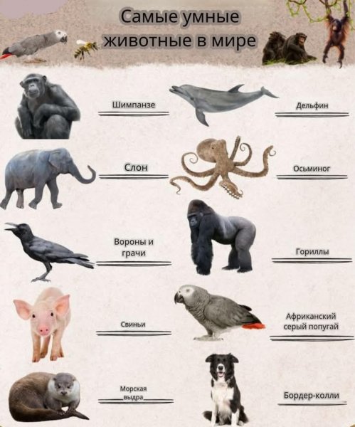 FB IMG 1753122067704