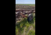 video_106172178