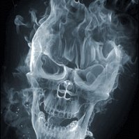 skull kmt4oe5l