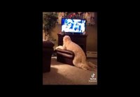 video_109743803