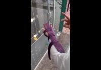 Как завязать галстук