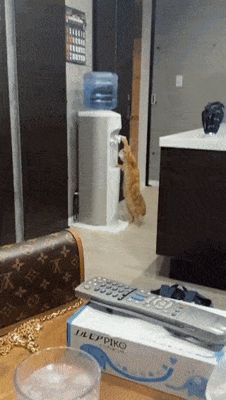 )