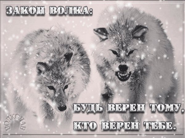 Будь Верен