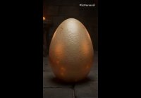 Драконы в место силы