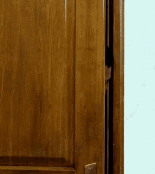 Hi