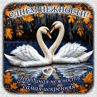 Анимированная открытка день нежности