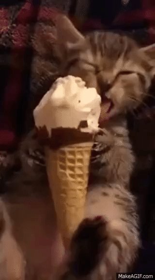 Котёнок ест мороженое