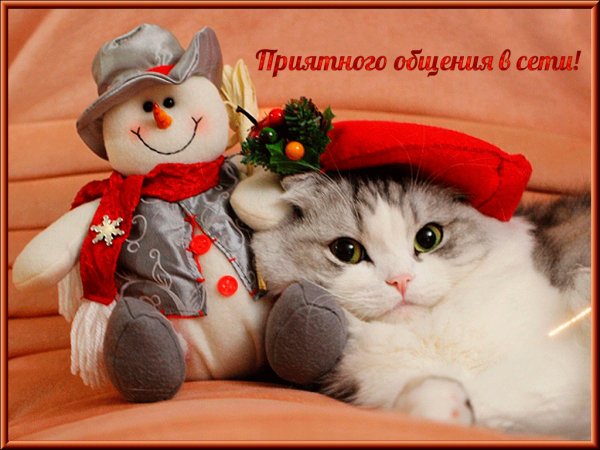 Приятного общения в сети!