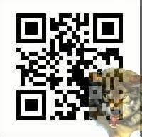 UpCodeS60v9 4 480s