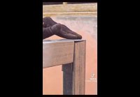 video_91439008