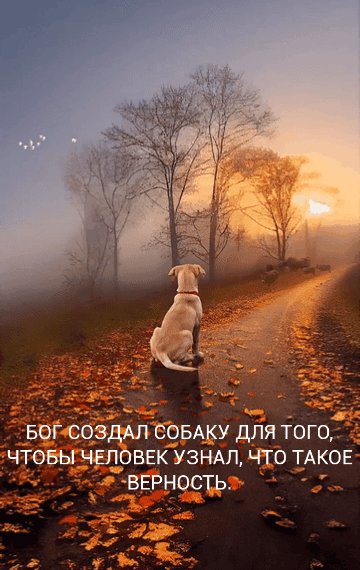 F523780F-3E58-4244-ACB8-3267E5E4A9A3