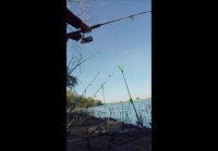 video_81002167