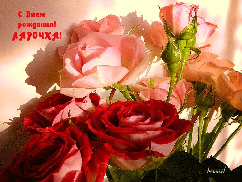 С Днём Рождения ЛАРИСА