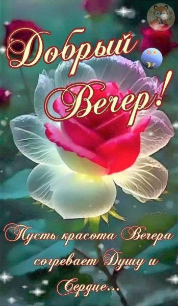 file_100738954