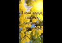 VID-20250302-WA0007