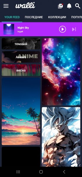 Walli 4K v.2.12.58