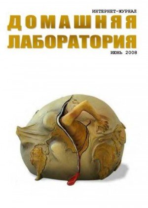 Интернет-журнал Домашняя лаборатория, 2008 6 (2008)