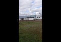 video_95325836