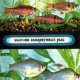 Болезни аквариумных рыб (fb2)