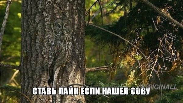 image (1)