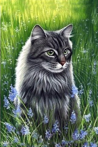 file_75009537