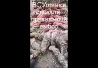 Kusikotshatura 2022-10-12-06-57-36 1665547056453