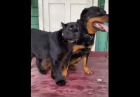 Друзья.)))