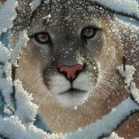 file_59237450