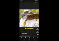 Факты которые вызовут ваш мозг 20260801-092838