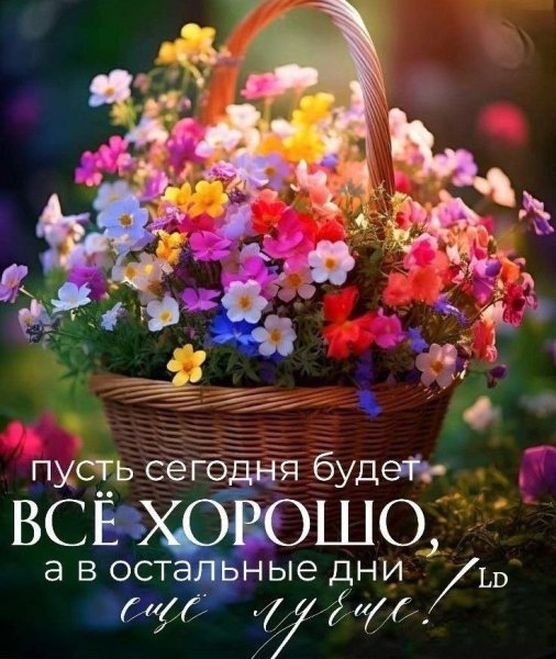 file_100736447