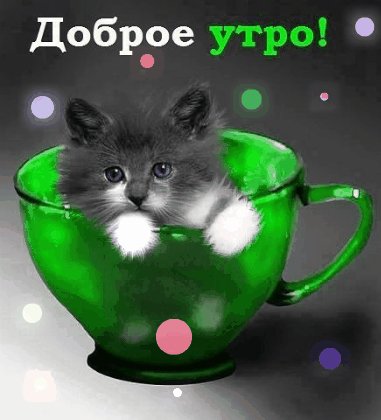 file_75275060