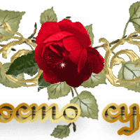 Супер (15)