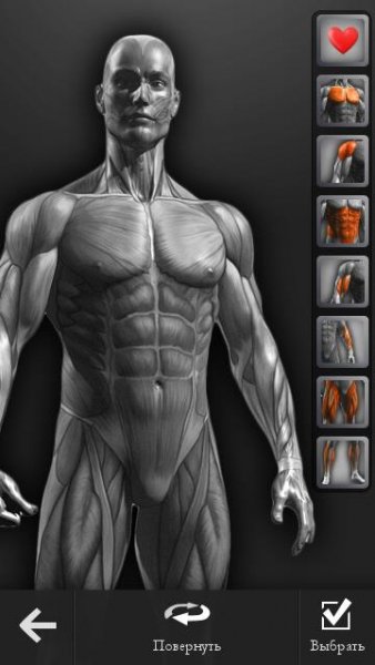 Barbellpro