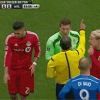durevibivalka