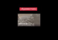 Буревестник