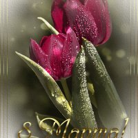 file_92899775