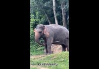 Video 15896922644455