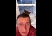 video_45458211