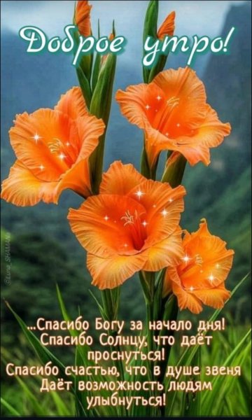 IMG-20251020-WA0000